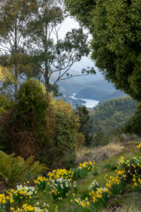 675 Cradle Mountain Road