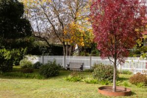 21 Adair Street