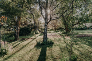 56 Meander Valley Road