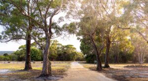 180 Badger Corner Road