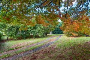 49-51 Meander Valley Road